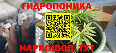 прущие грибы Ипатово